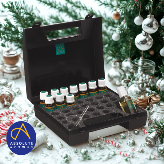 Therapist Case Large (31 holes)