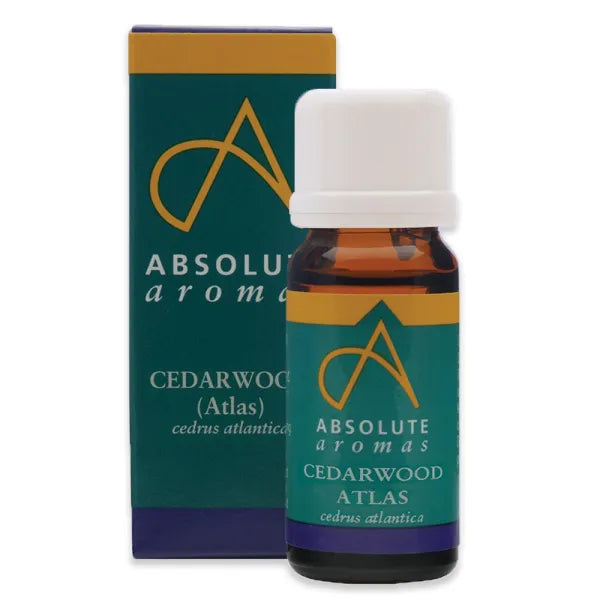 Cedarwood Atlas (Morocco)