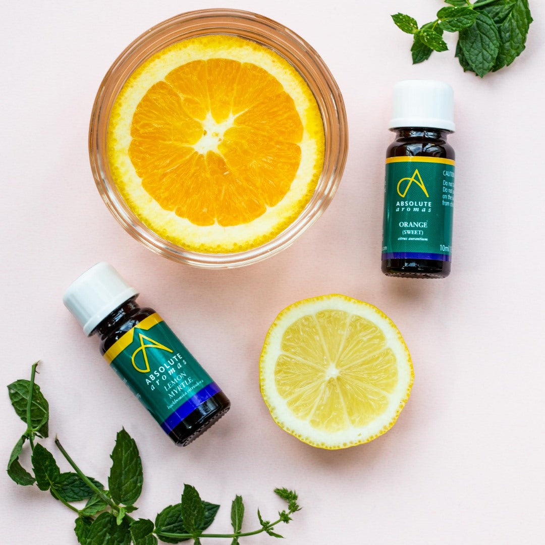 Myrtle, Lemon (Wild crafted) Morocco