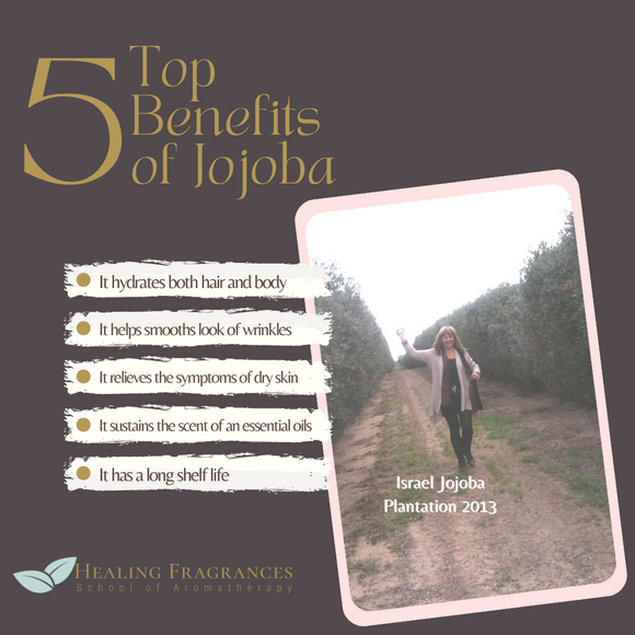 5 Benefits of Jojoba