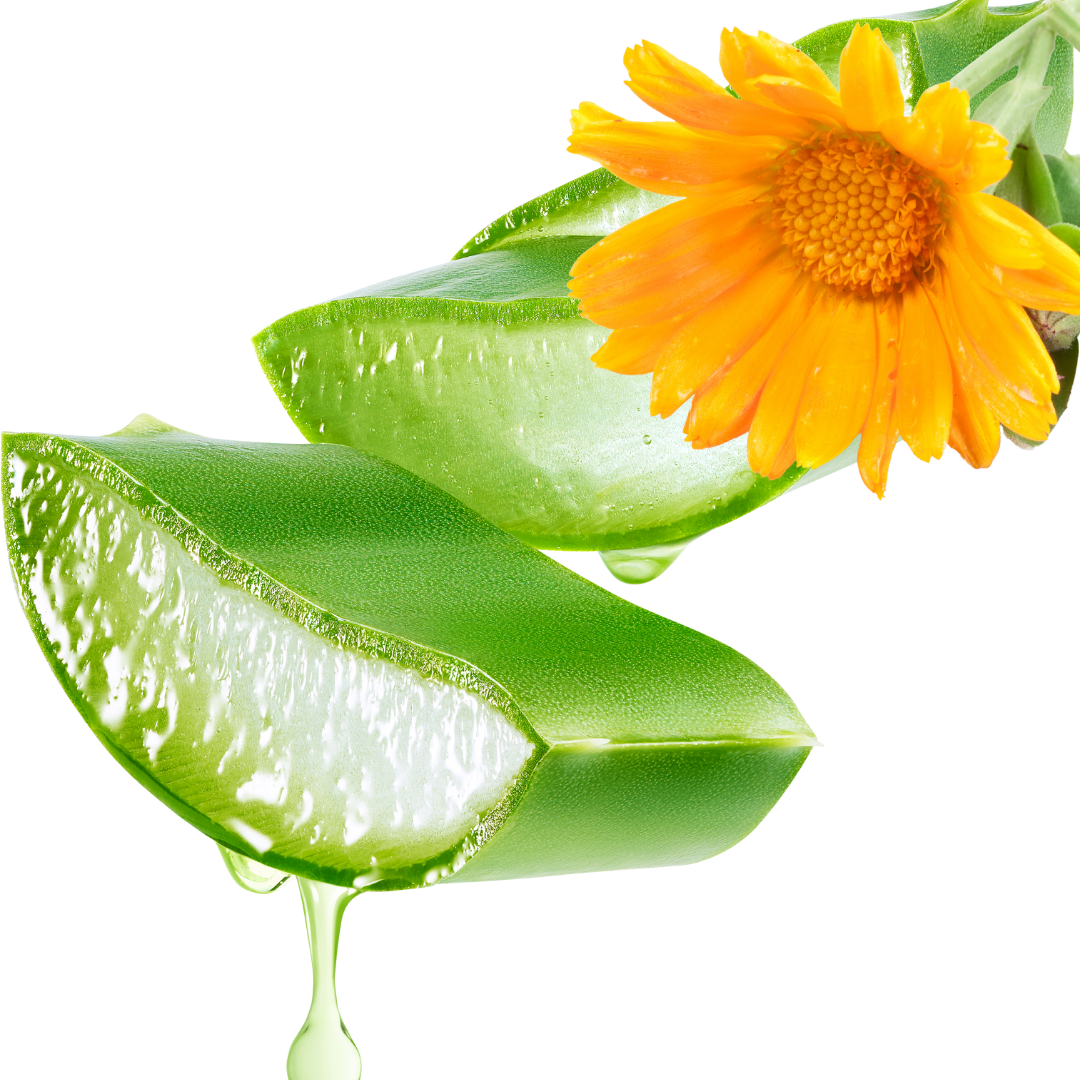 "Nourish your skin with the goodness of Aloe Vera and Calendula."