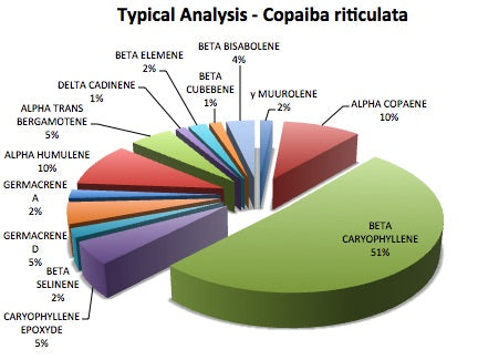 Discover Copaiba (Copaifera riticulata)