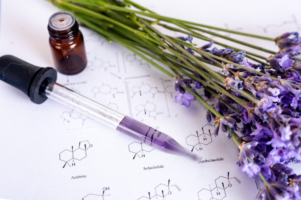 Discover Spike Lavender and Lavender High Altitude
