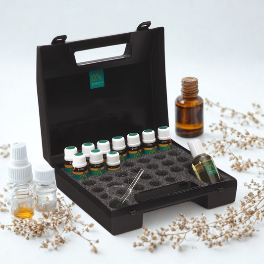 Therapist Case Large (31 holes)