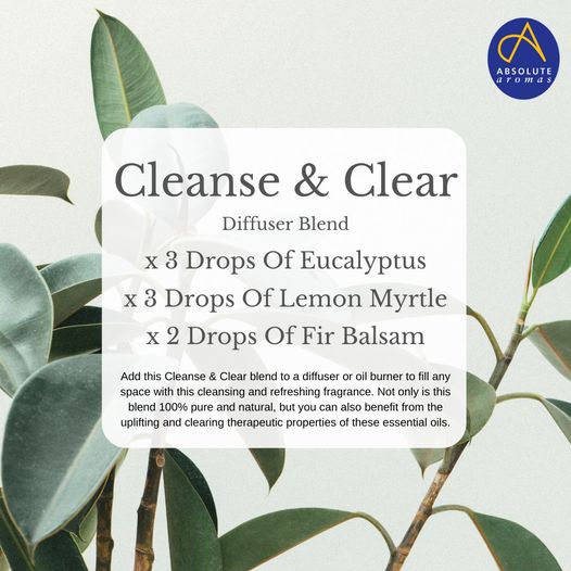 Myrtle, Lemon (Wild crafted) Morocco