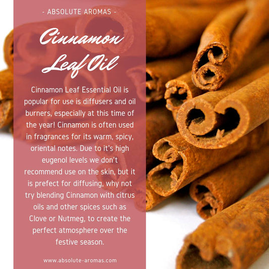 Cinnamon Leaf (Sri Lanka)