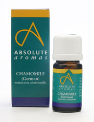 Chamomile German (Egypt)